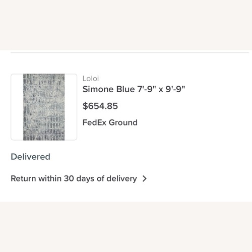 Used Loll Designs Blue Area Rug 8' x 10 for sale on AptDeco