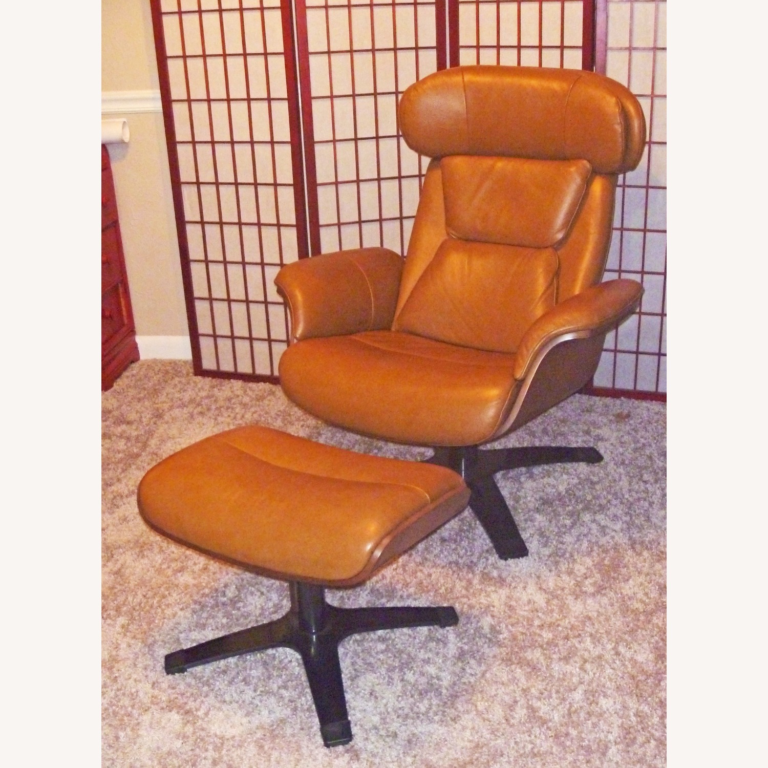 Jason Furniture Blagorodna Leather Recliners - image-1