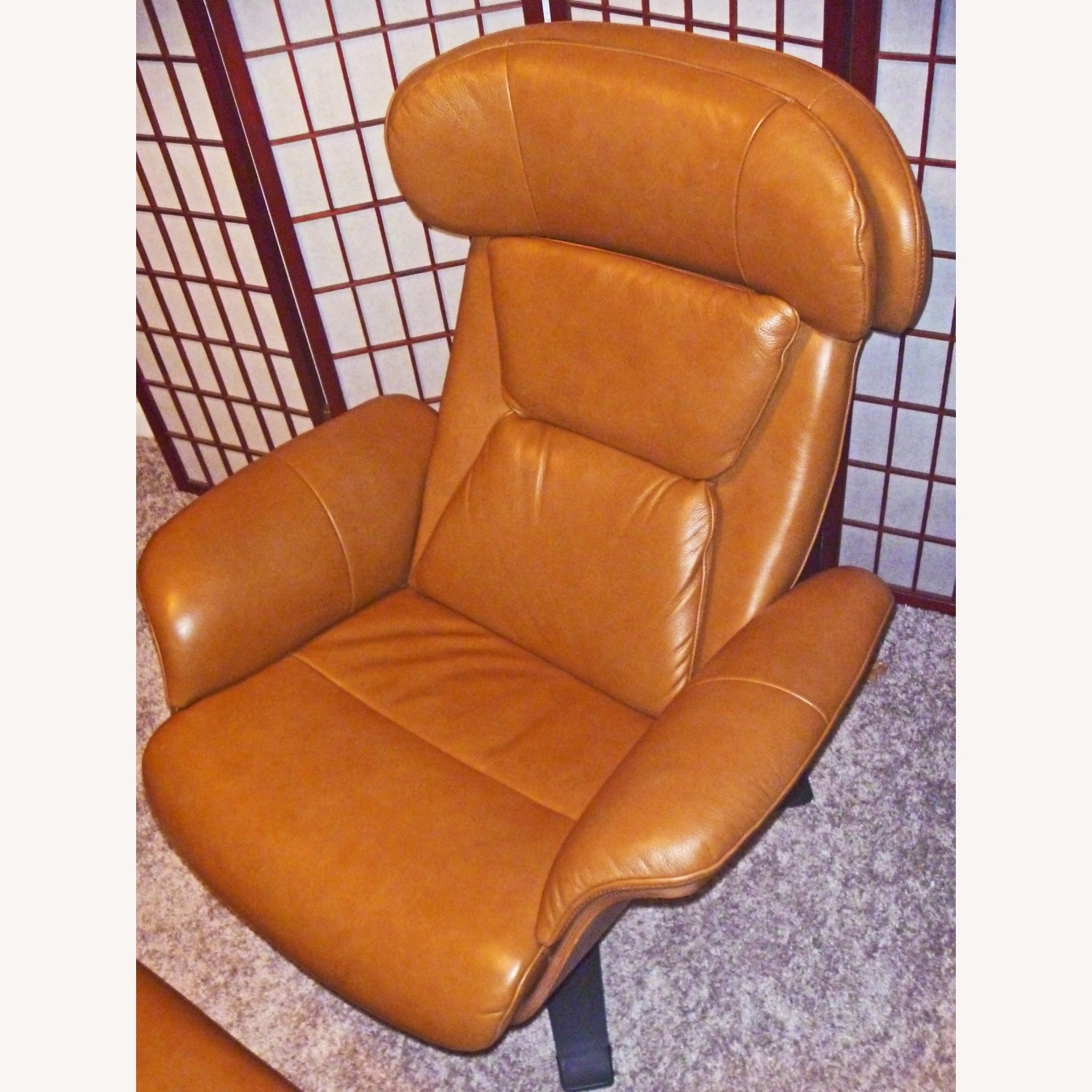 Jason Furniture Blagorodna Leather Recliners - image-2
