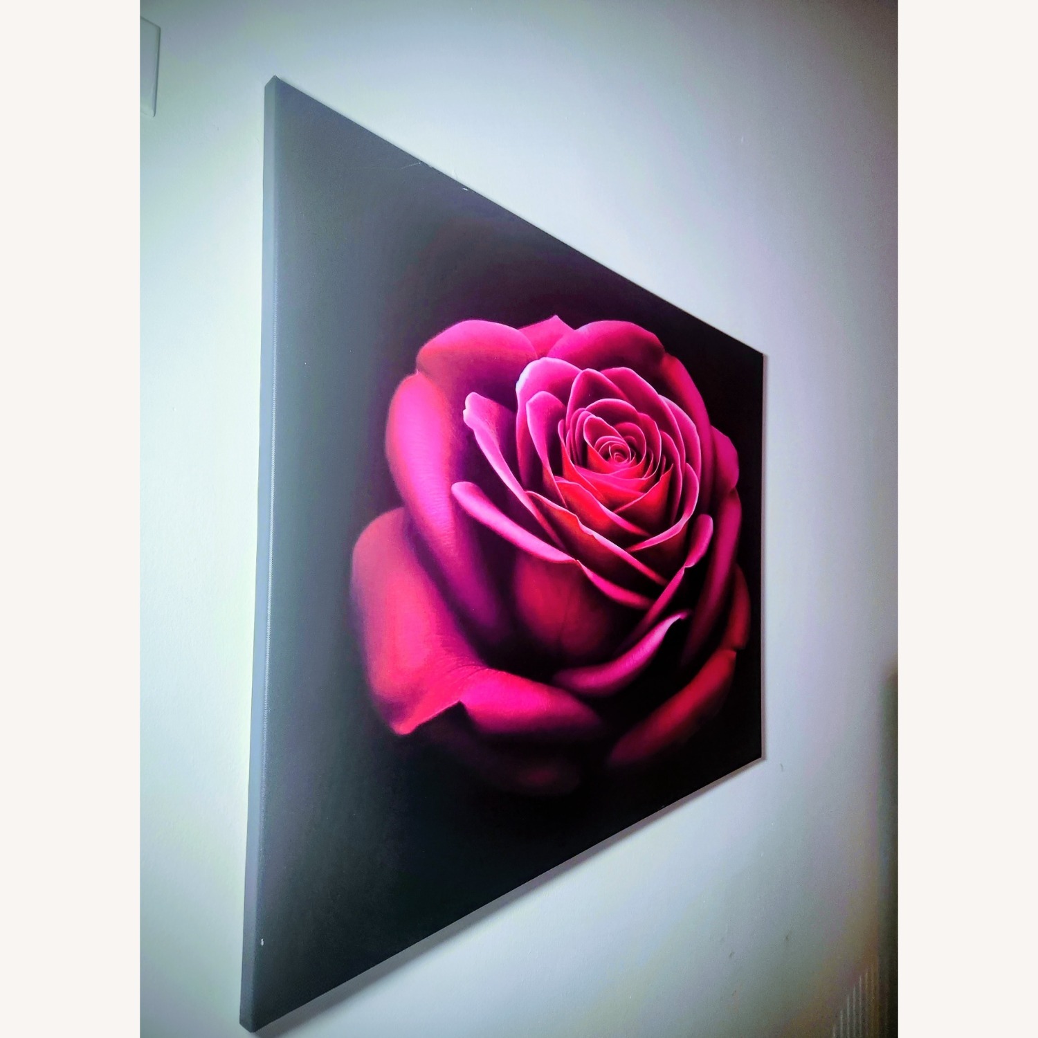 Rose Beauty - image-3