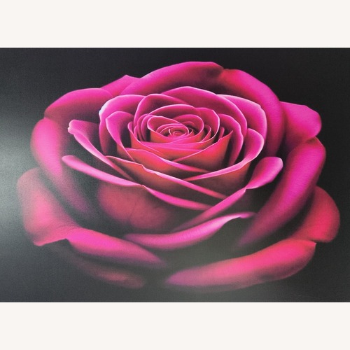 Used Rose Beauty for sale on AptDeco