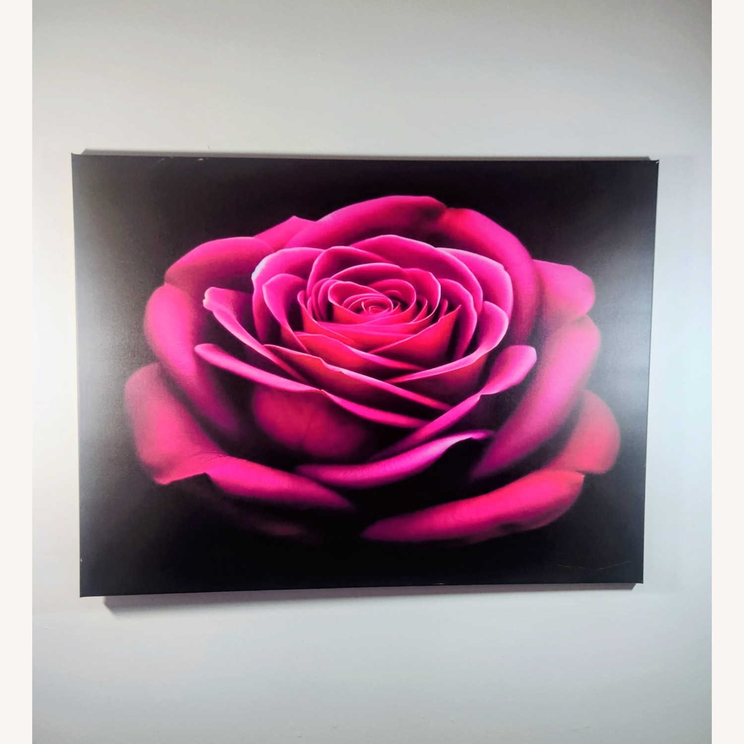 Rose Beauty - image-0