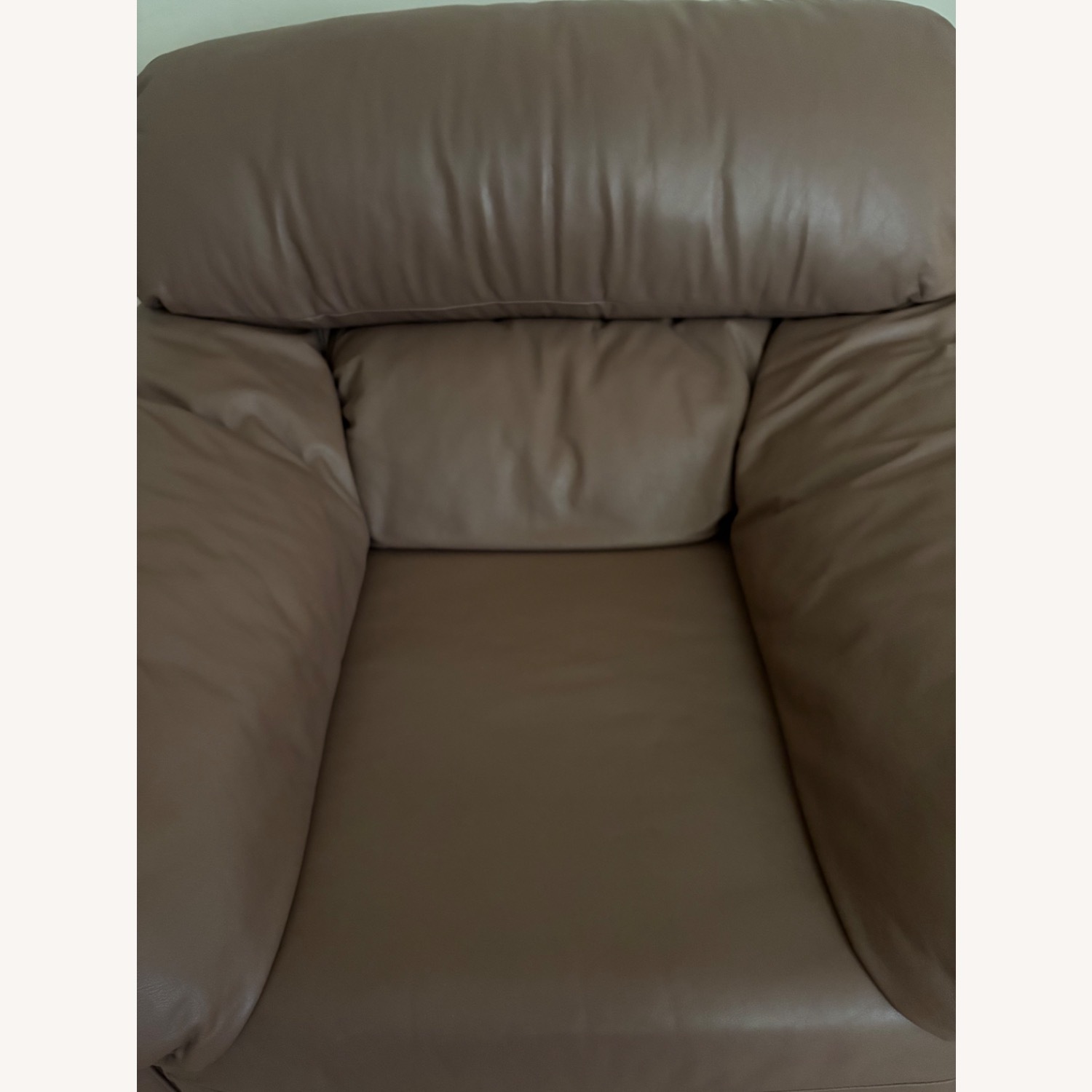 Vintage/Antique Finds Leather Armchair - image-1