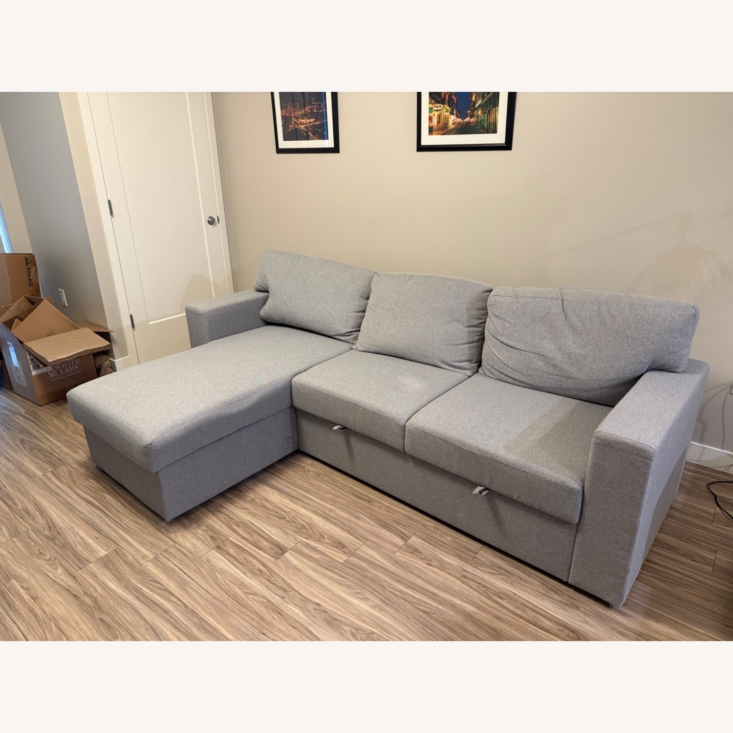 IKEA Light Gray Sleeper Sofa - image-1