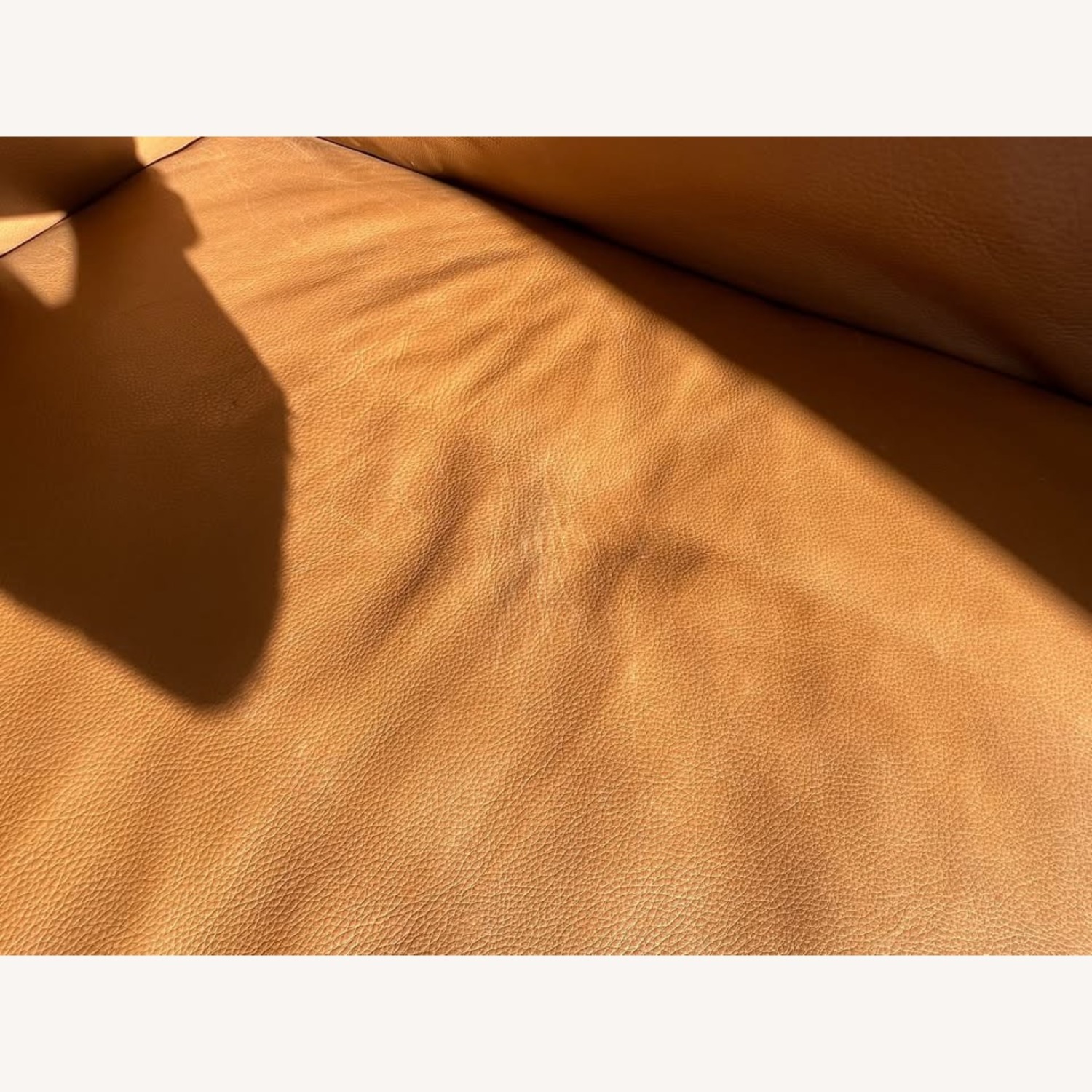 Design Within Reach Light Brown 3+ Seater Sofa - image-7