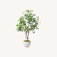 Artificial Ficus Tree