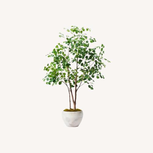 Used Artificial Ficus Tree for sale on AptDeco