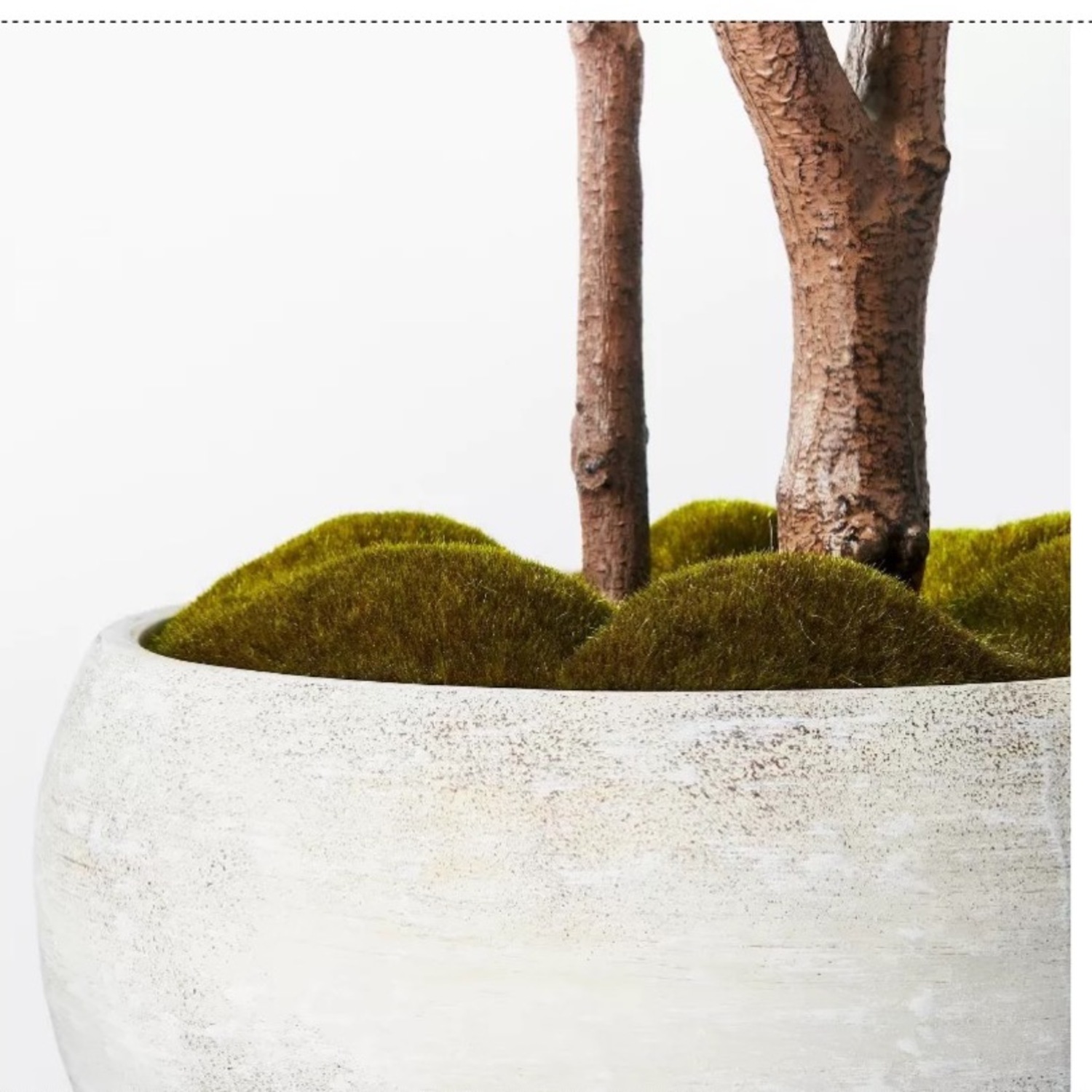 Artificial Ficus Tree - image-3