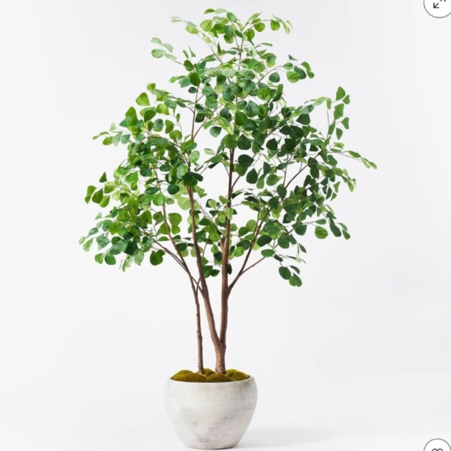 Artificial Ficus Tree - image-1