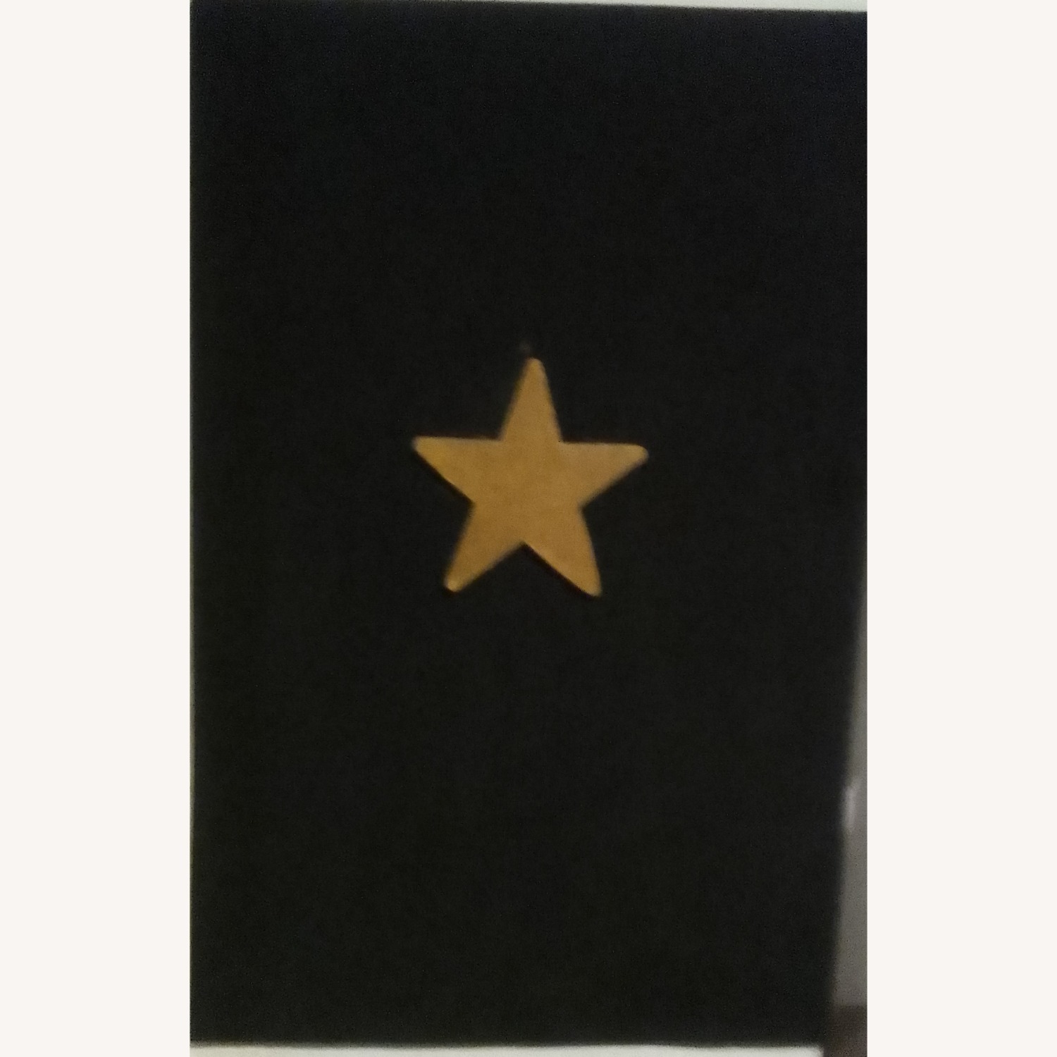 Vintage/Antique Black Wall Decor - image-3