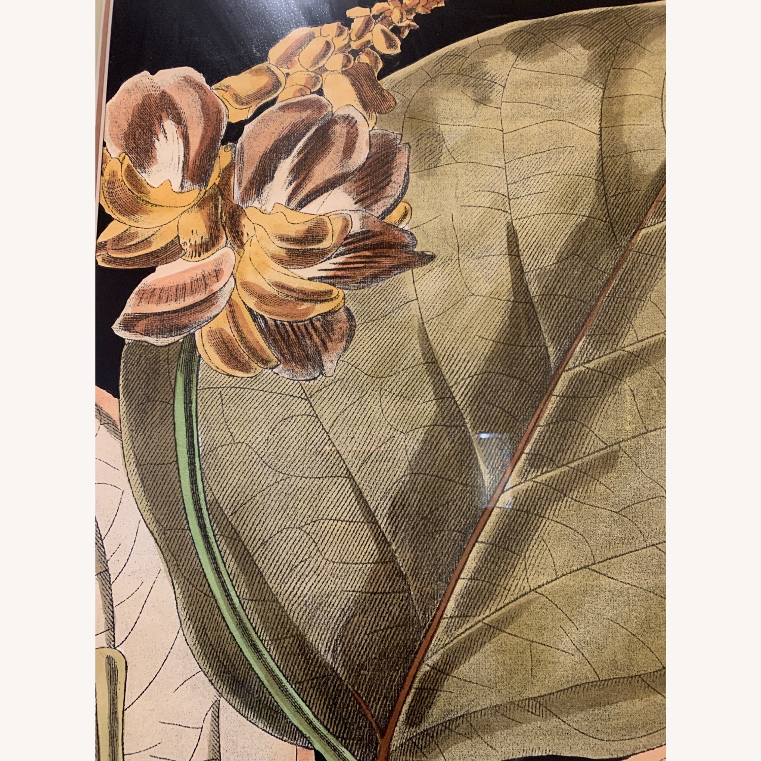 Functional Fine Art Wall Art - image-4