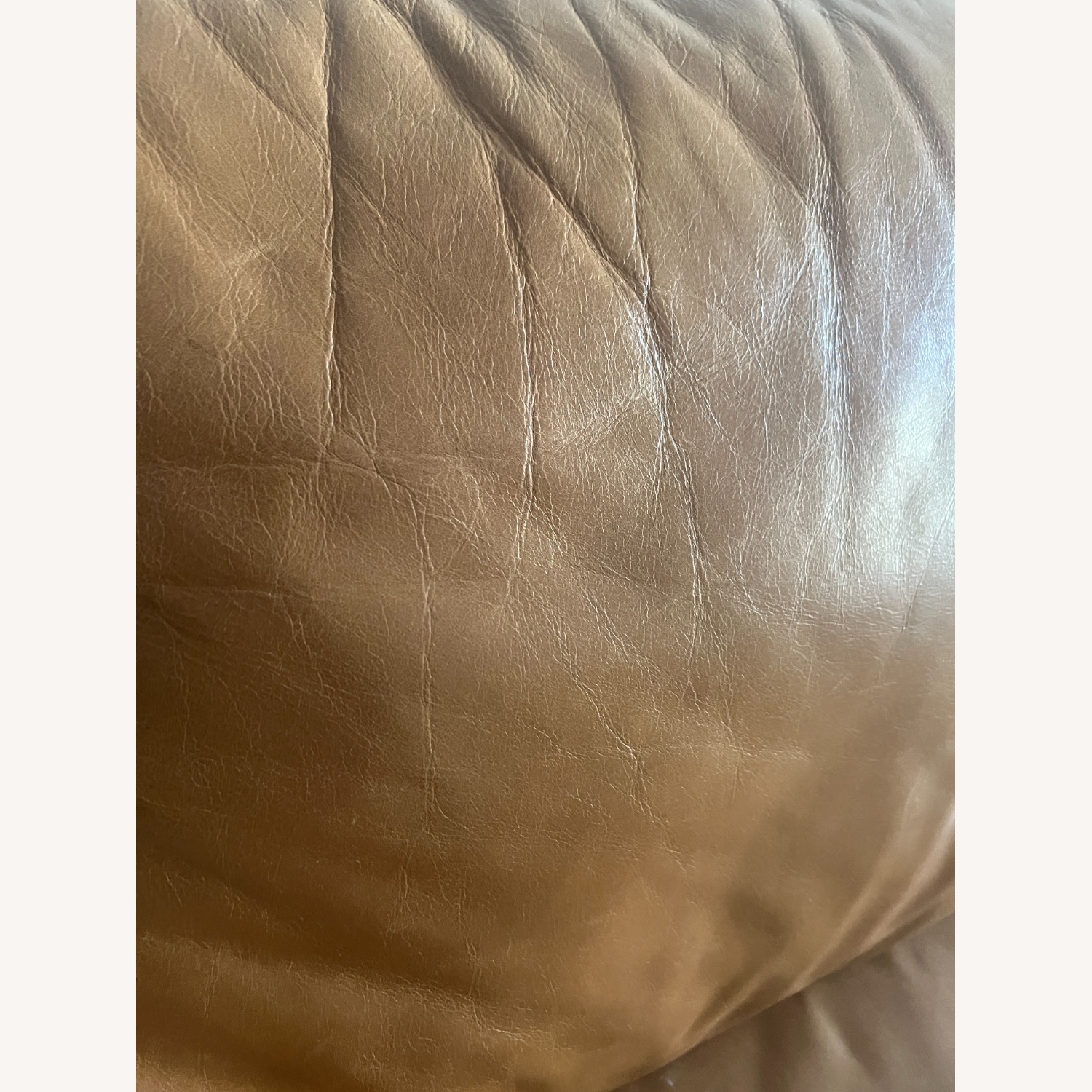 Crate & Barrel Light Brown Leather Barrett Queen Sleeper - image-6