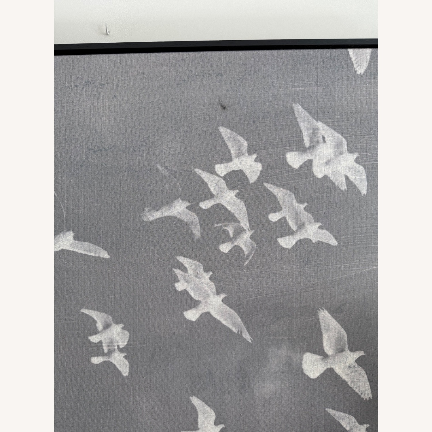 Pottery Barn Graphite Flock Framed Wall Art Prints - image-6
