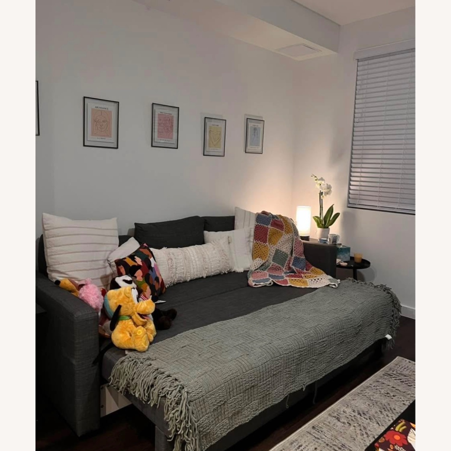 IKEA Friheten Dark Gray Sleeper Sofa - image-1