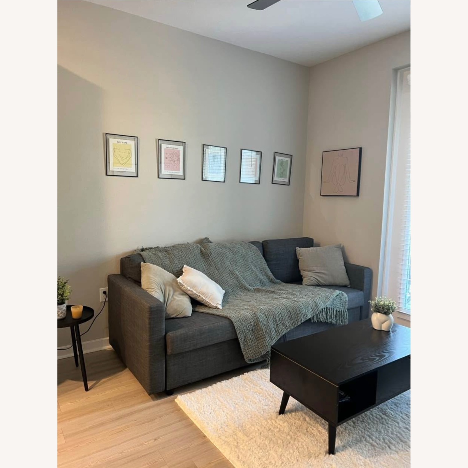 IKEA Friheten Dark Gray Sleeper Sofa - image-2