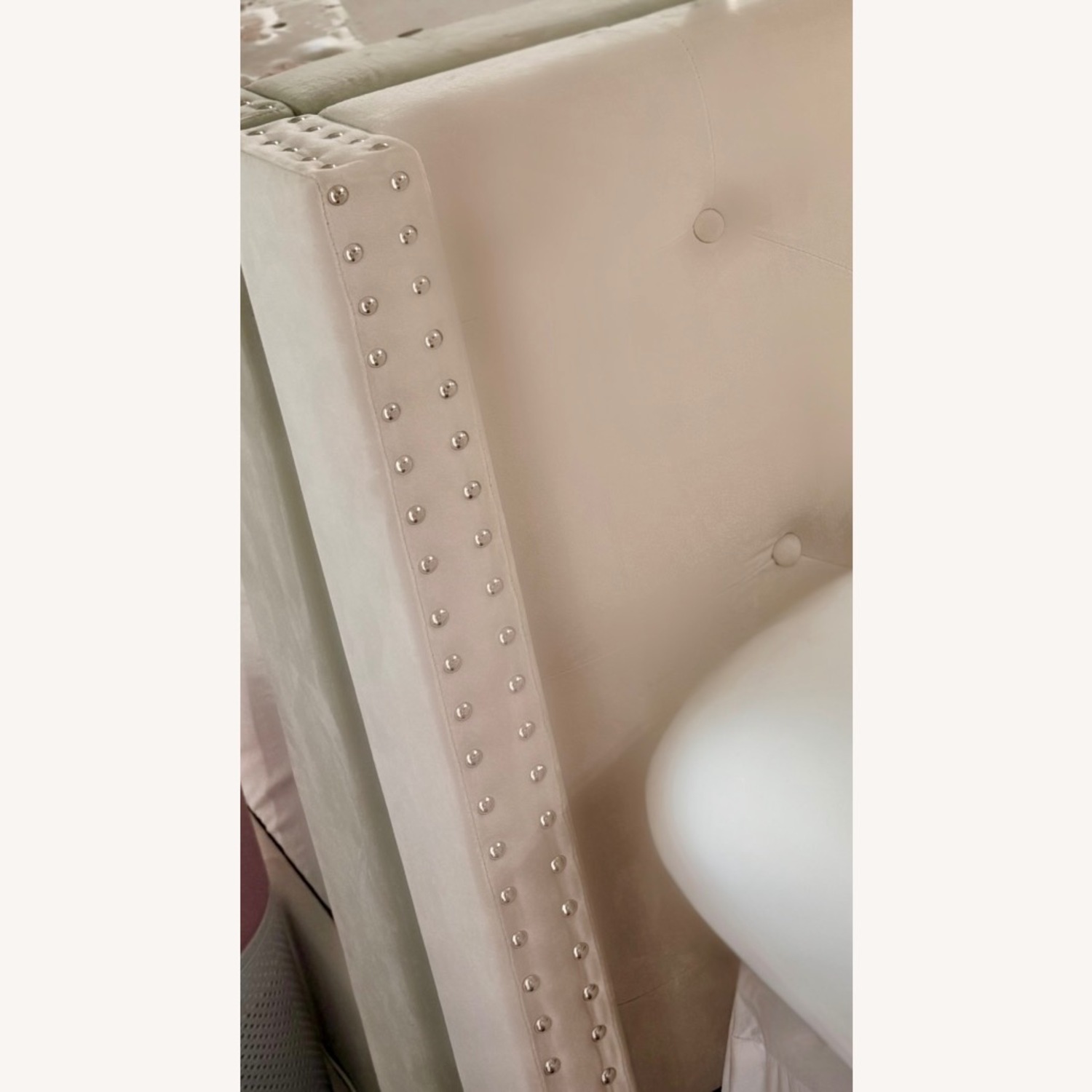 Champagne Beige Velvet California King Bed - image-3