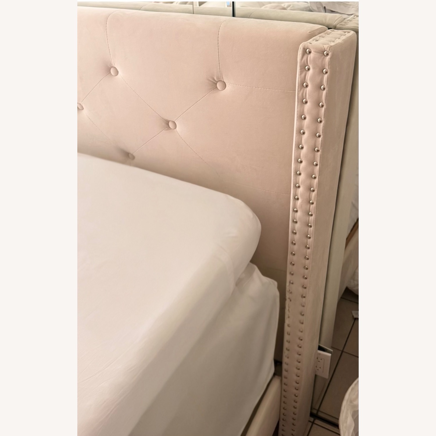 Champagne Beige Velvet California King Bed - image-2