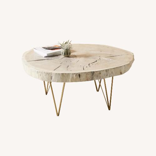 Used Anthropologie Taracea Coffee Table for sale on AptDeco