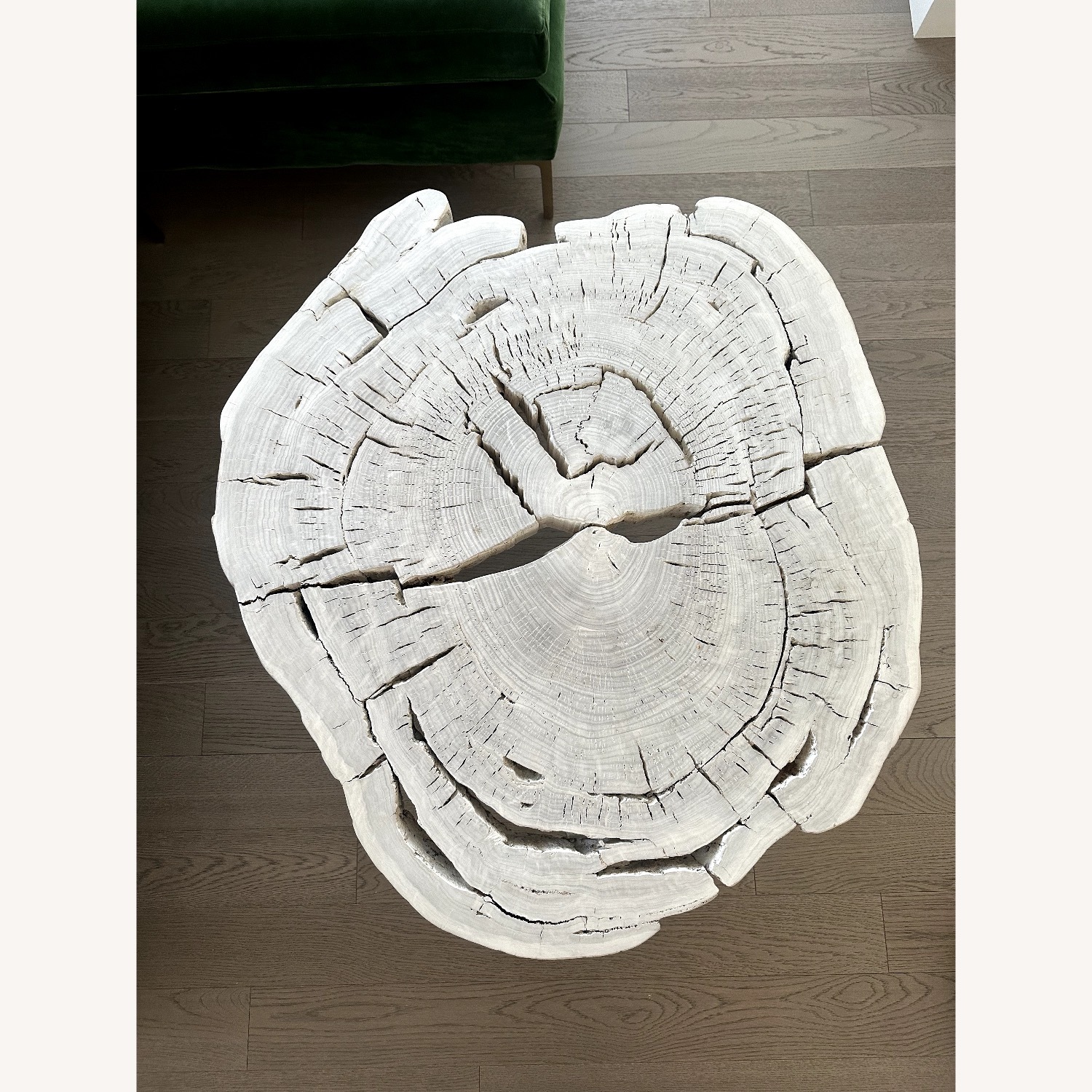 Anthropologie Taracea Coffee Table - image-1