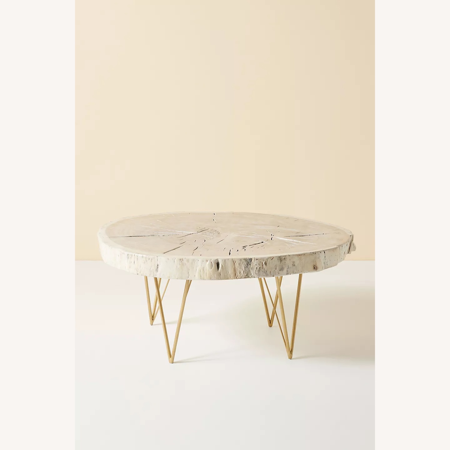Anthropologie Taracea Coffee Table - image-5