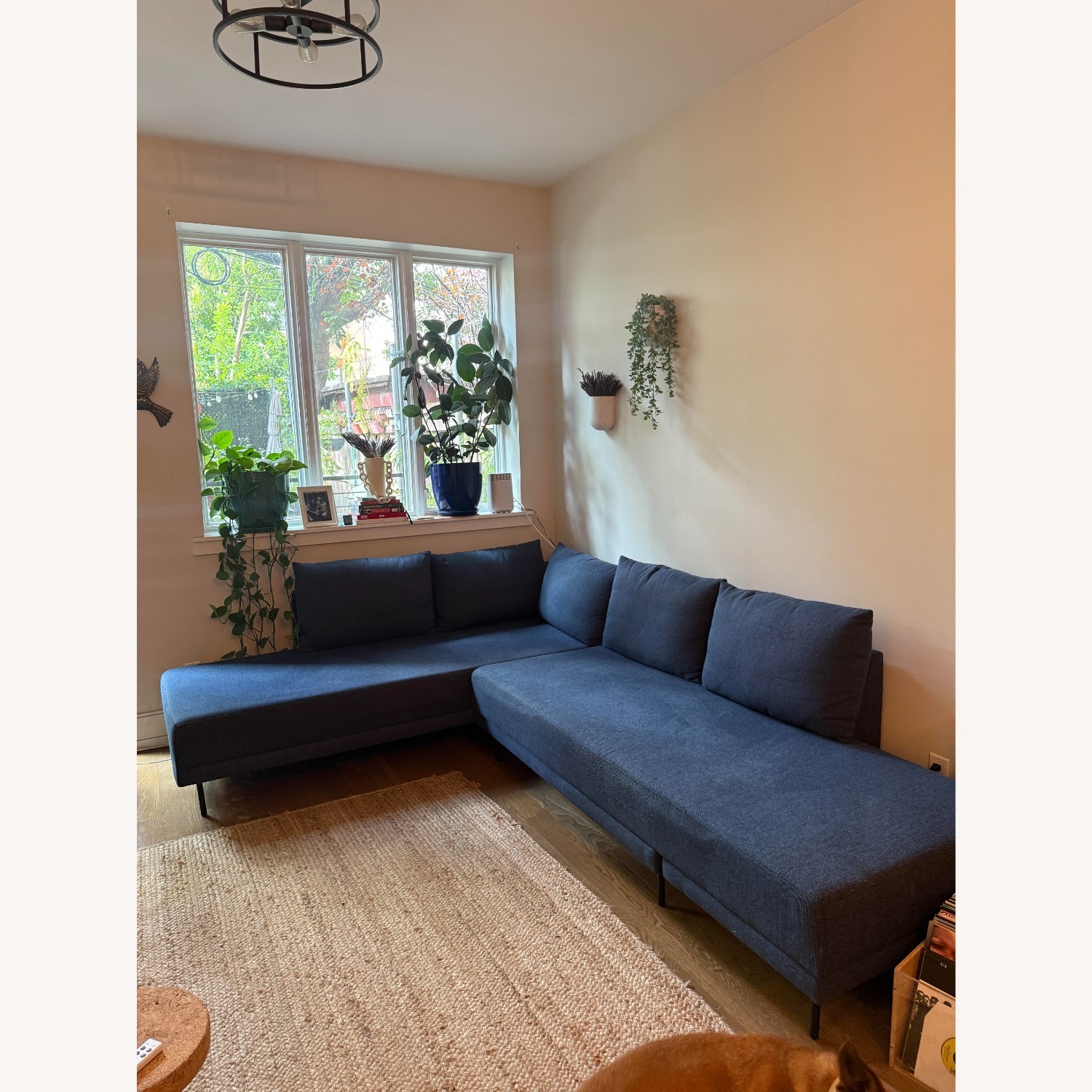 AllModern Blue Lon Upholstered Sleeper Sectional - image-4