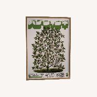 Magnolia Tree in Oak Wood Frame Wall Art