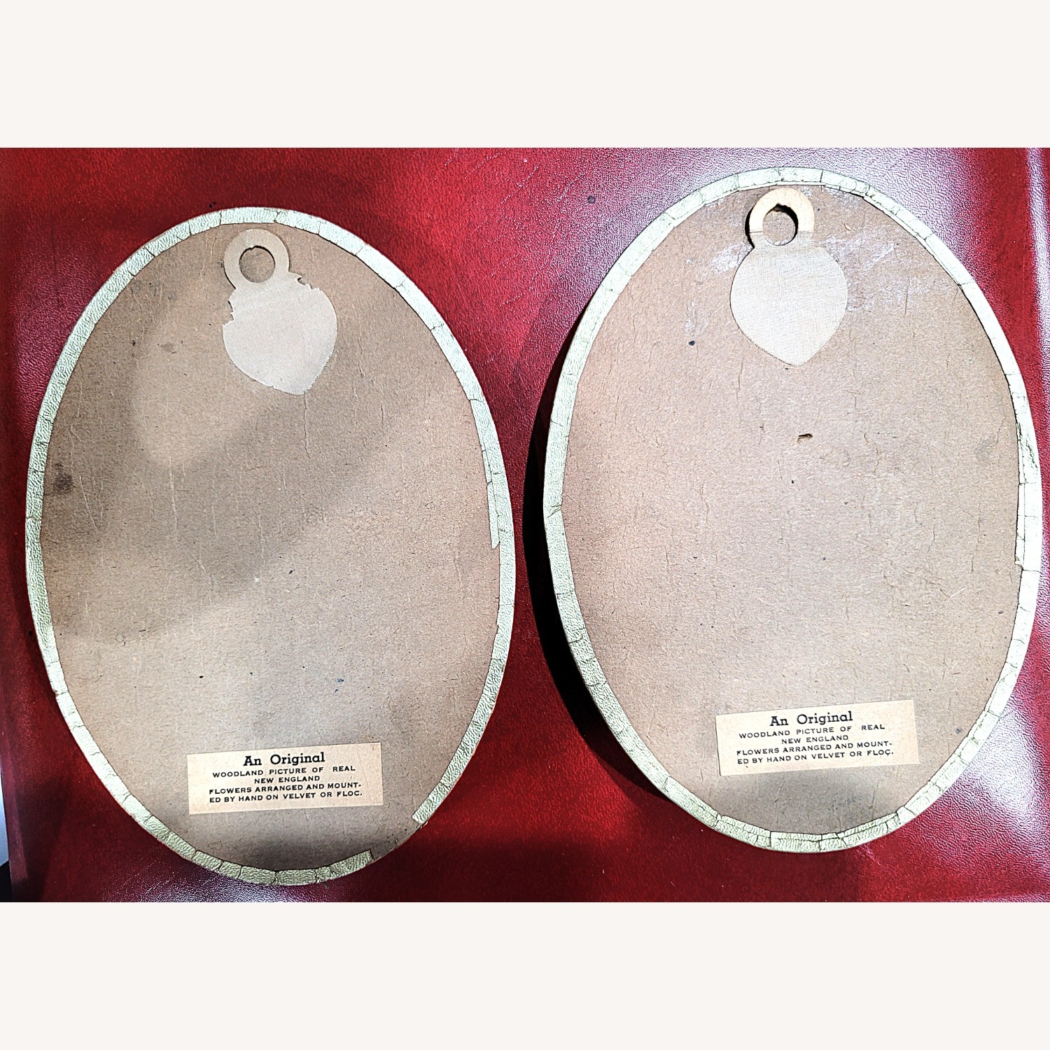 Vintage Hand Pressed Flowers - image-2