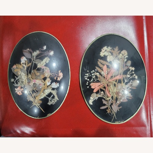 Used Vintage Hand Pressed Flowers for sale on AptDeco