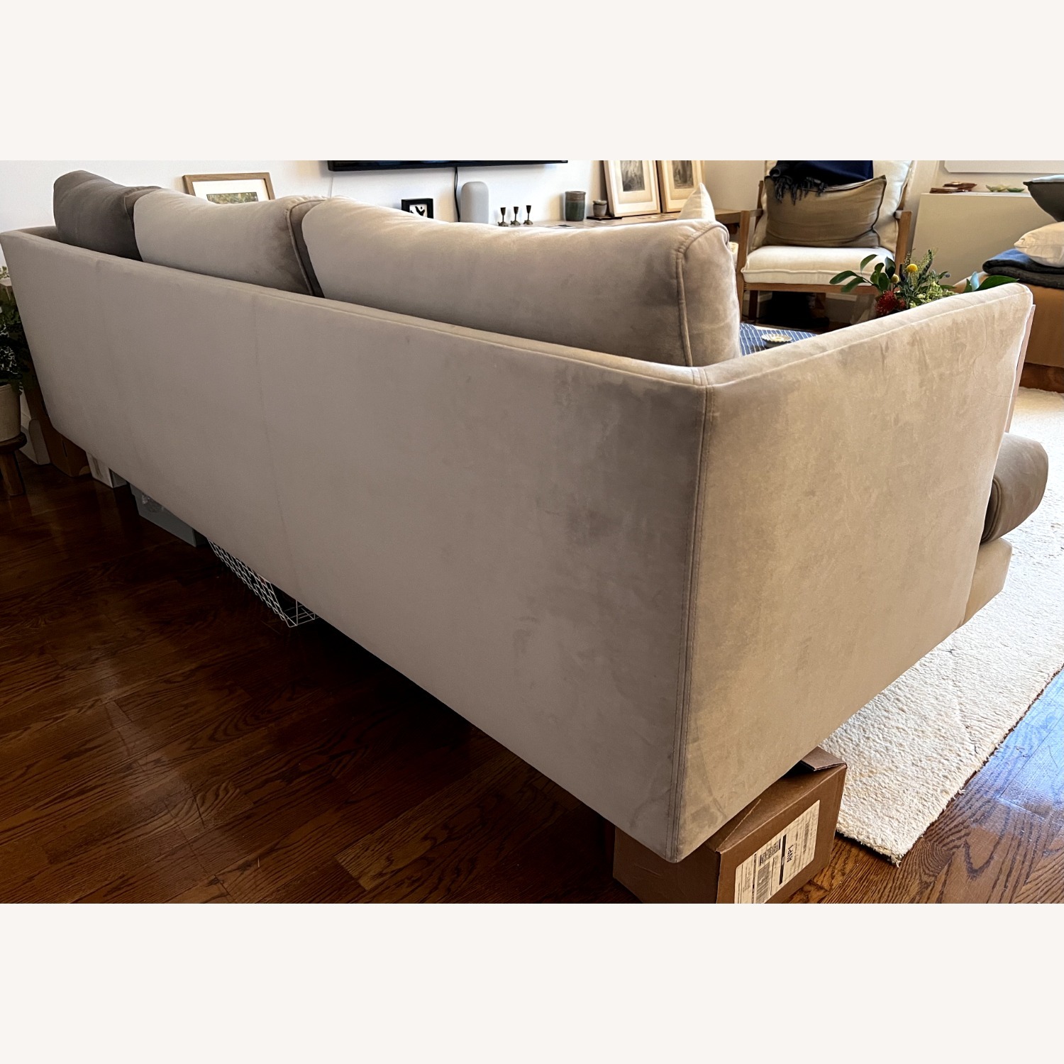 AllModern Miller Light Gray Velvet 3+ Seater Sofa - image-2