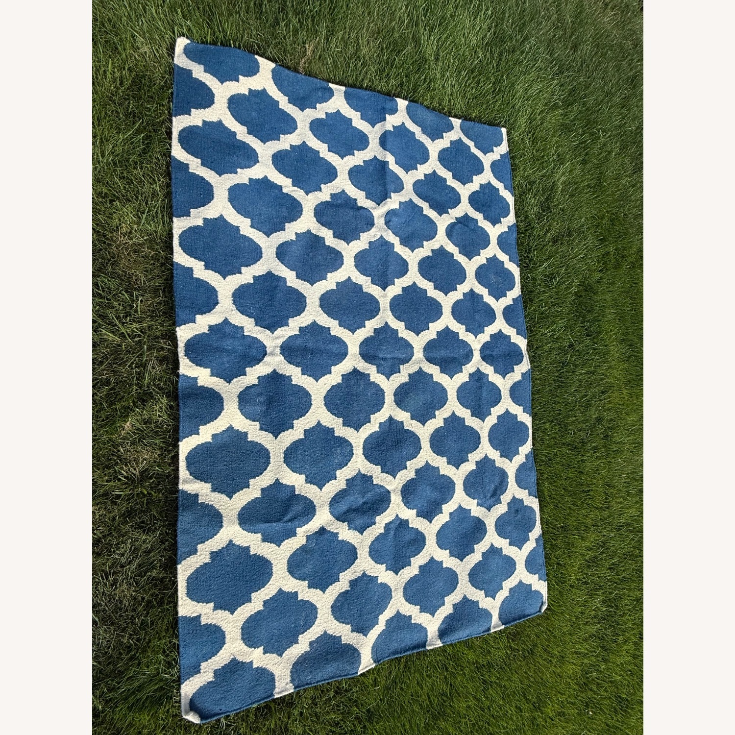 IKEA Blue Area Rug 5' x 8' - image-1