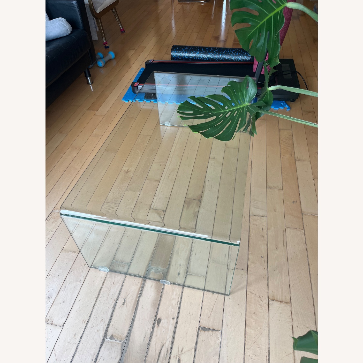 Pot Transparent Table Transparent Glass Coffee Table - AptDeco