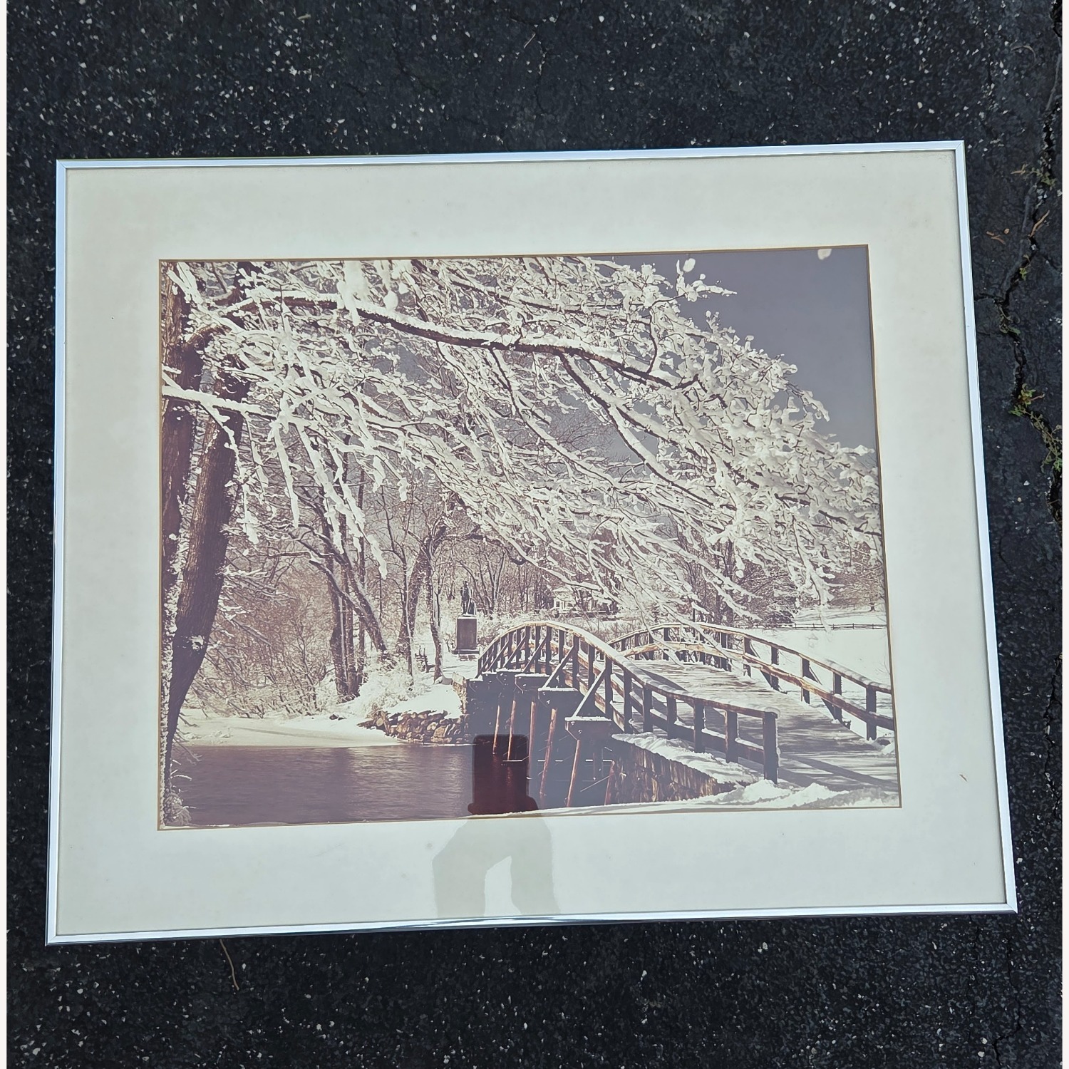 Frames (3) Custom - Steel Glass - Nature Pics - image-2