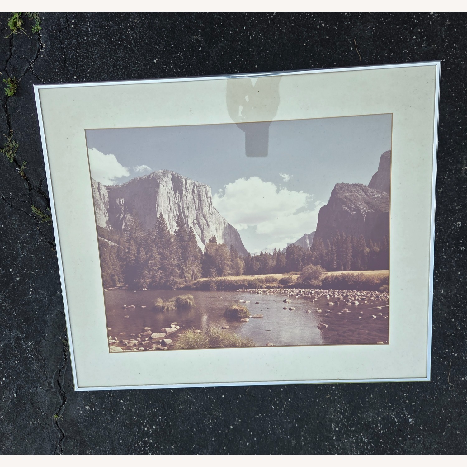 Frames (3) Custom - Steel Glass - Nature Pics - image-3