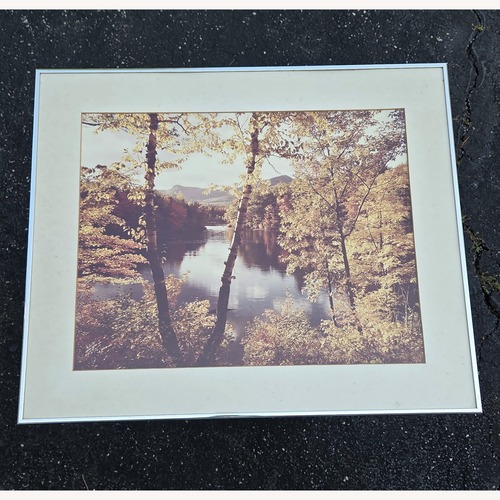 Used Frames (3) Custom - Steel Glass - Nature Pics for sale on AptDeco