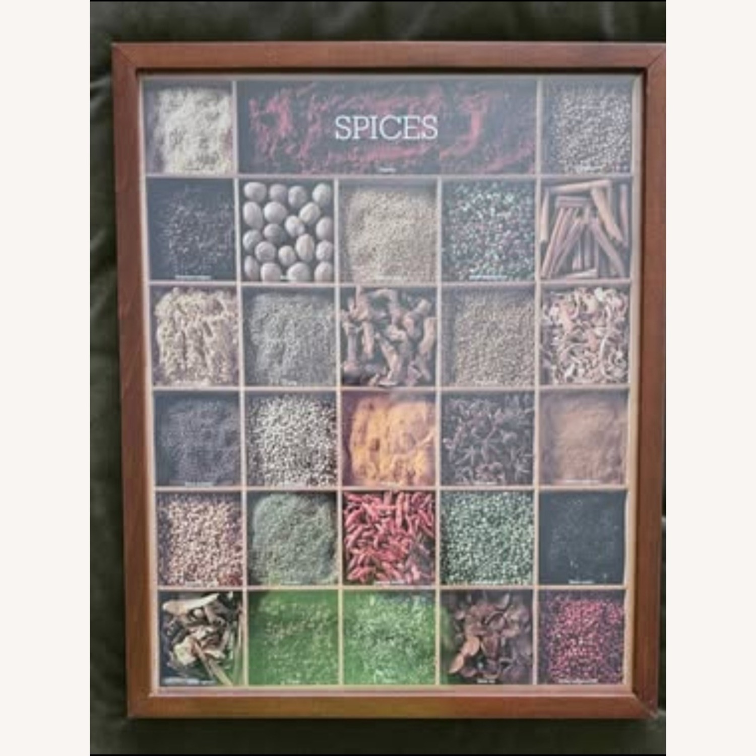 IKEA Ribba Print Framed 17x21x1.5 "Spices"  - image-0