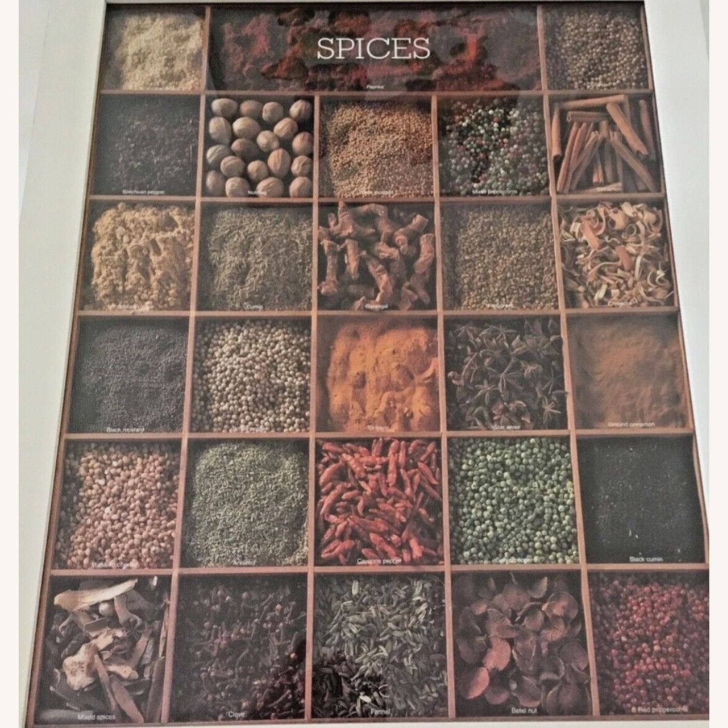 IKEA Ribba Print Framed 17x21x1.5 "Spices"  - image-1