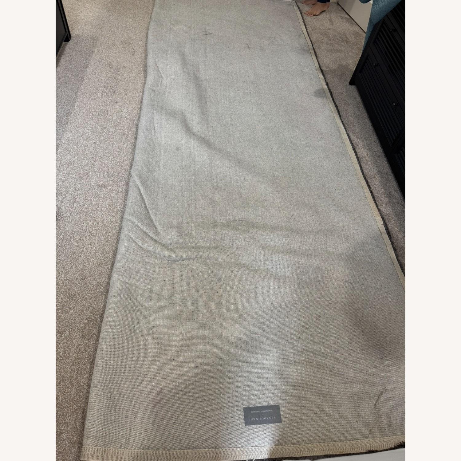 Restoration Hardware Ben Soleimani Pluma Rug - 9X12 - image-6