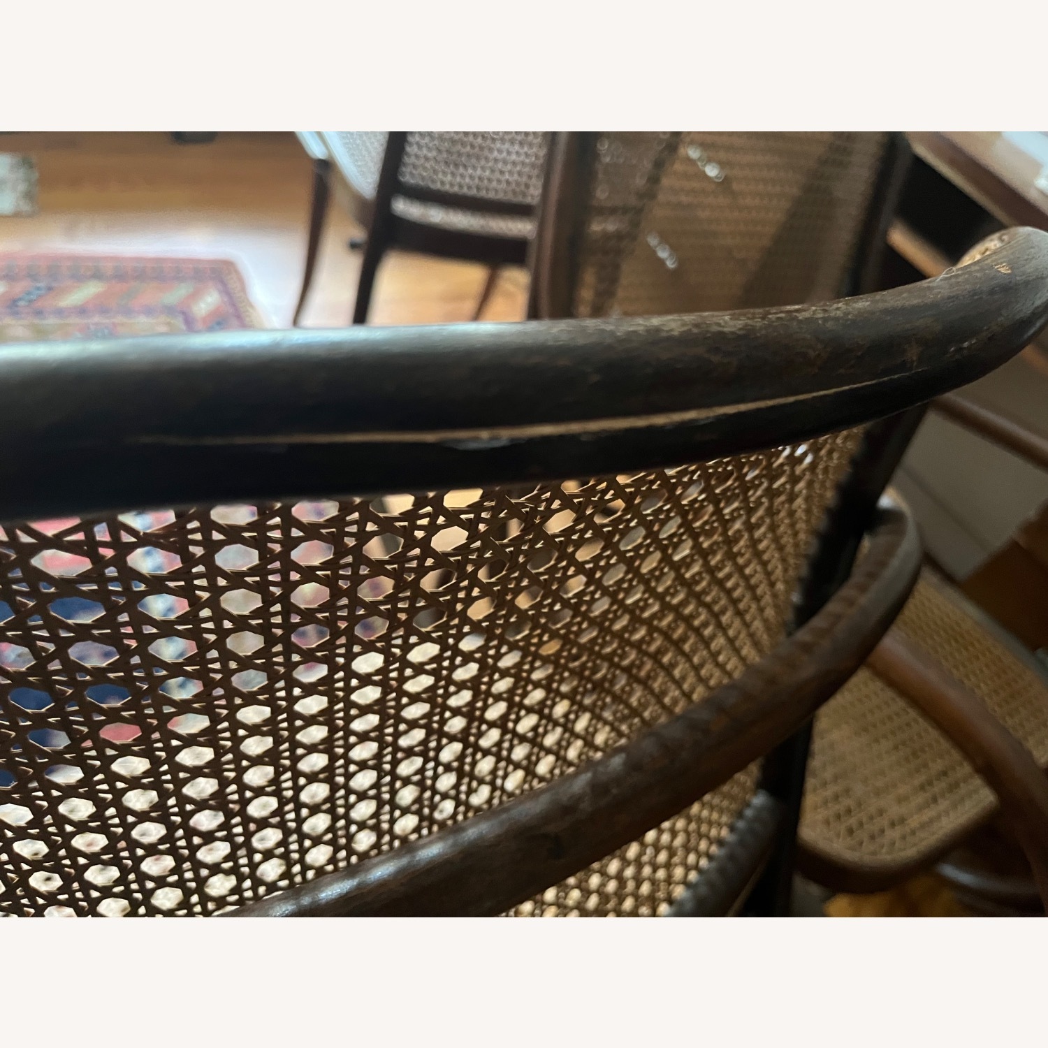 Josef Hoffmann Furniture Dark Brown Dining Chairs - image-11