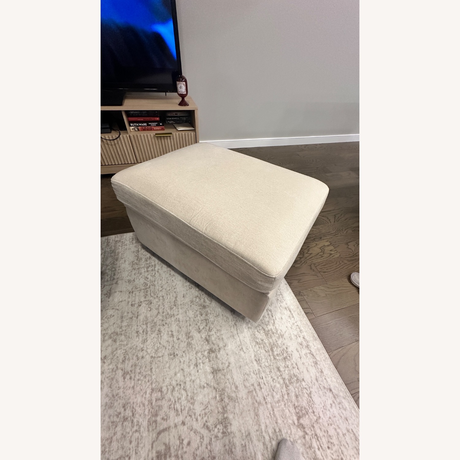 Pullout Couch with Storage - image-4