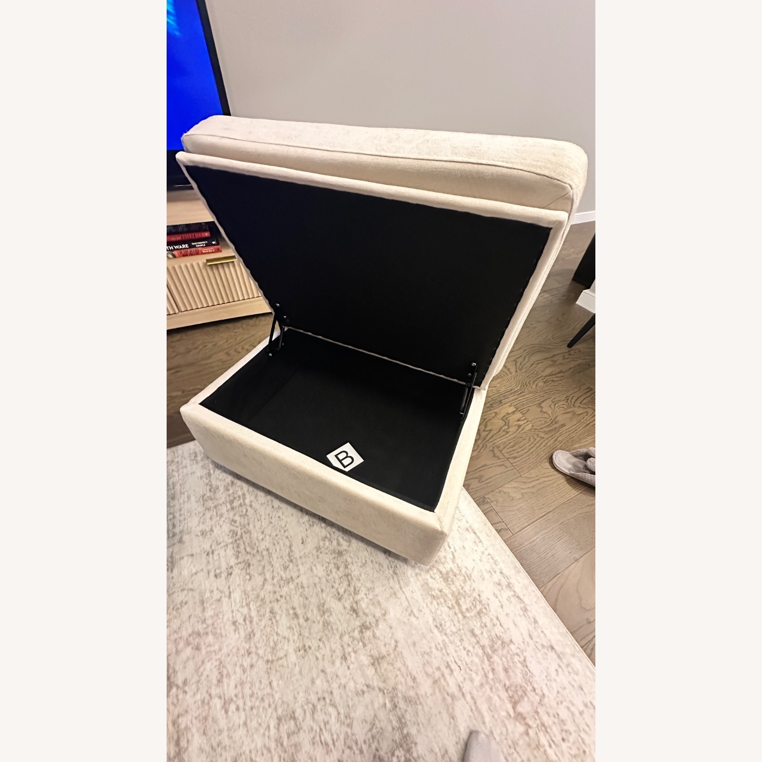 Pullout Couch with Storage - image-5