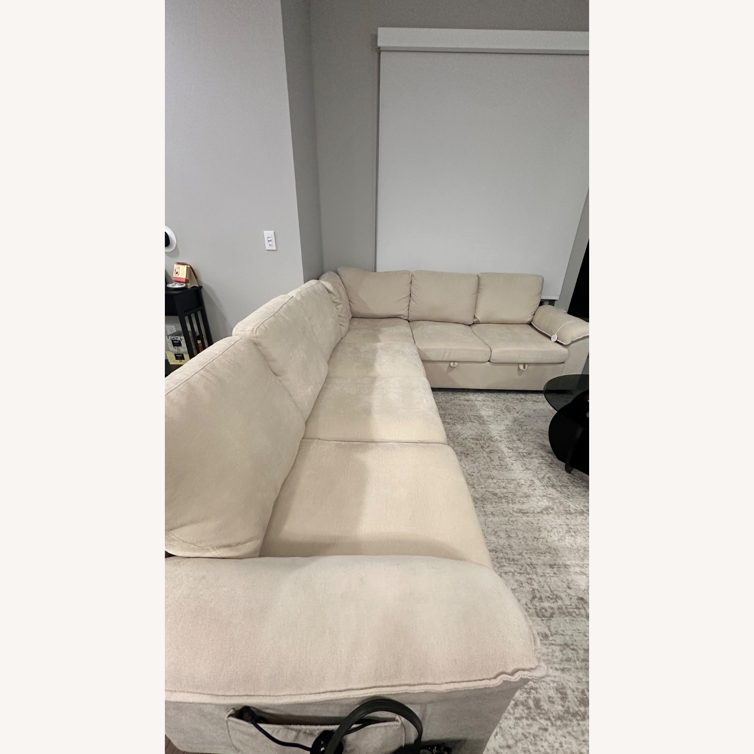 Pullout Couch with Storage - image-3