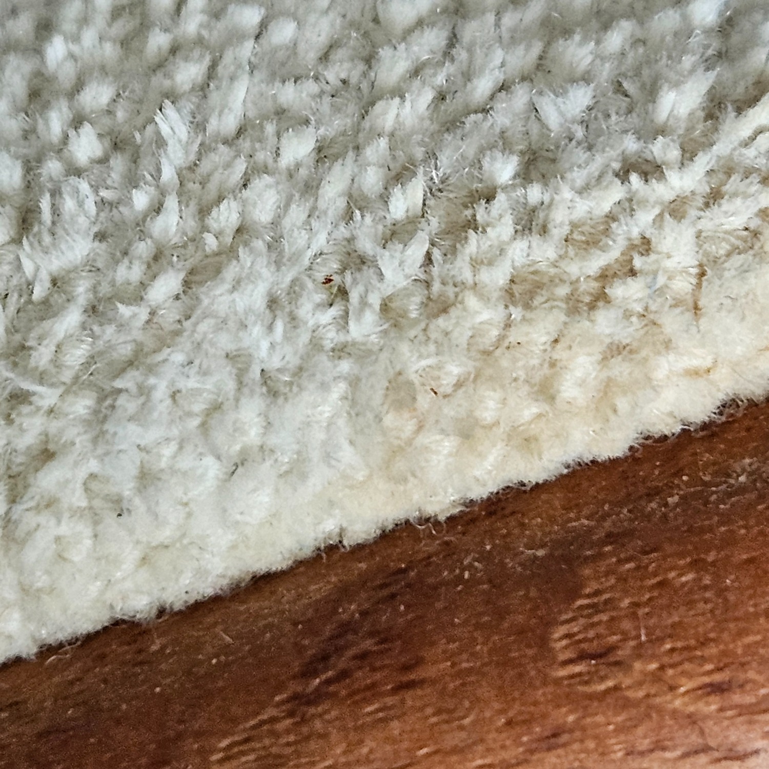 Modern Teak Dining Chairs - image-5