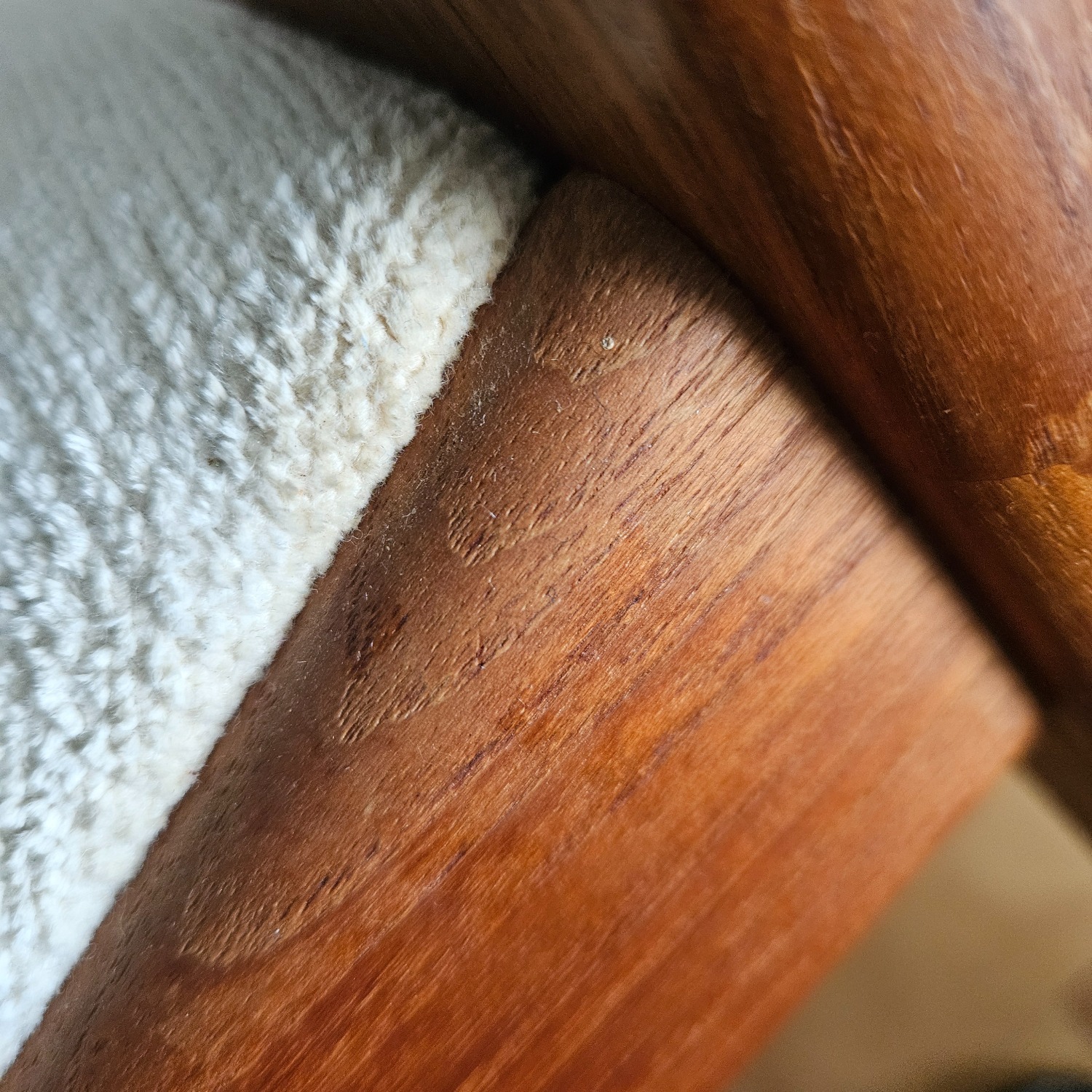 Modern Teak Dining Chairs - image-4