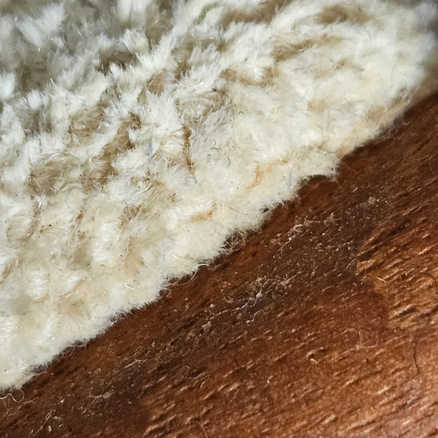 Modern Teak Dining Chairs - image-6