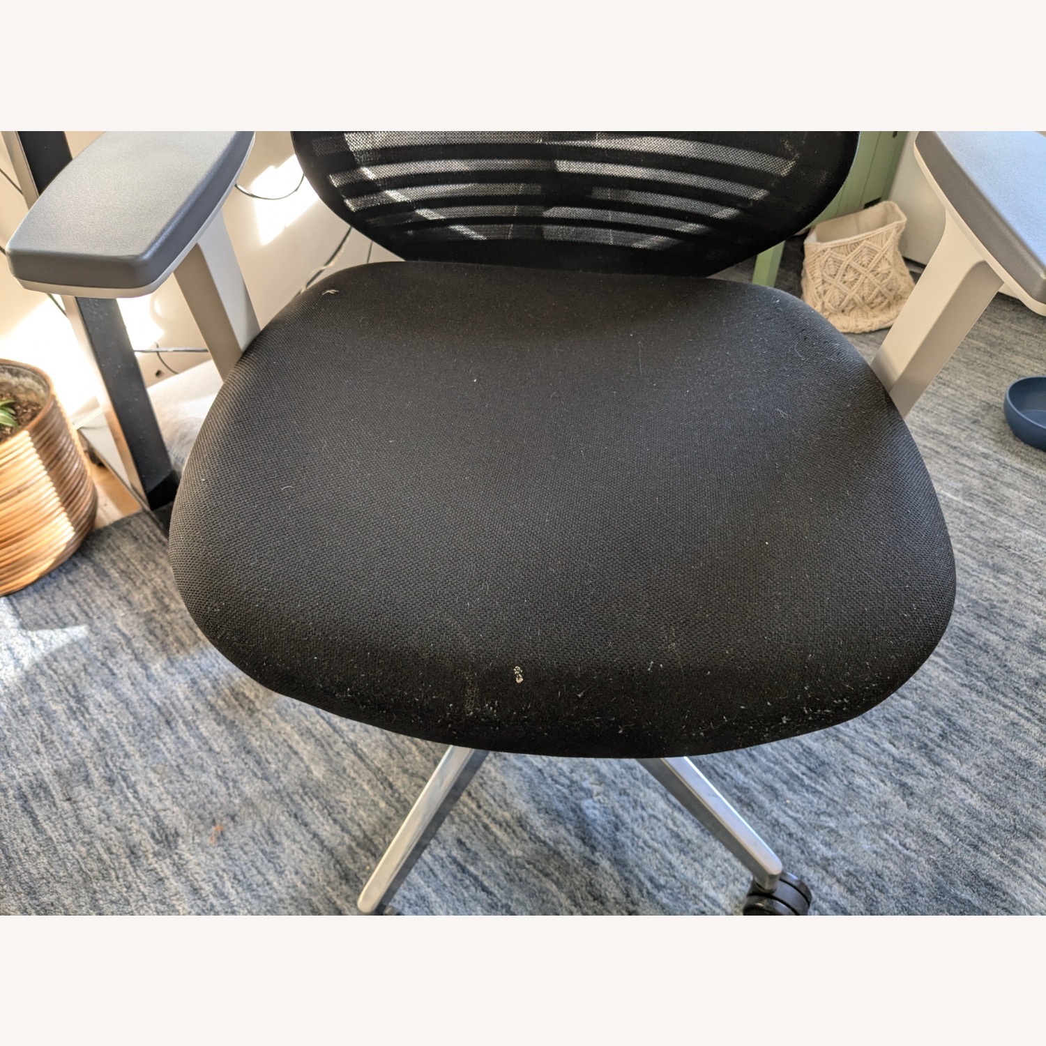 Branch White Office Chair - image-3