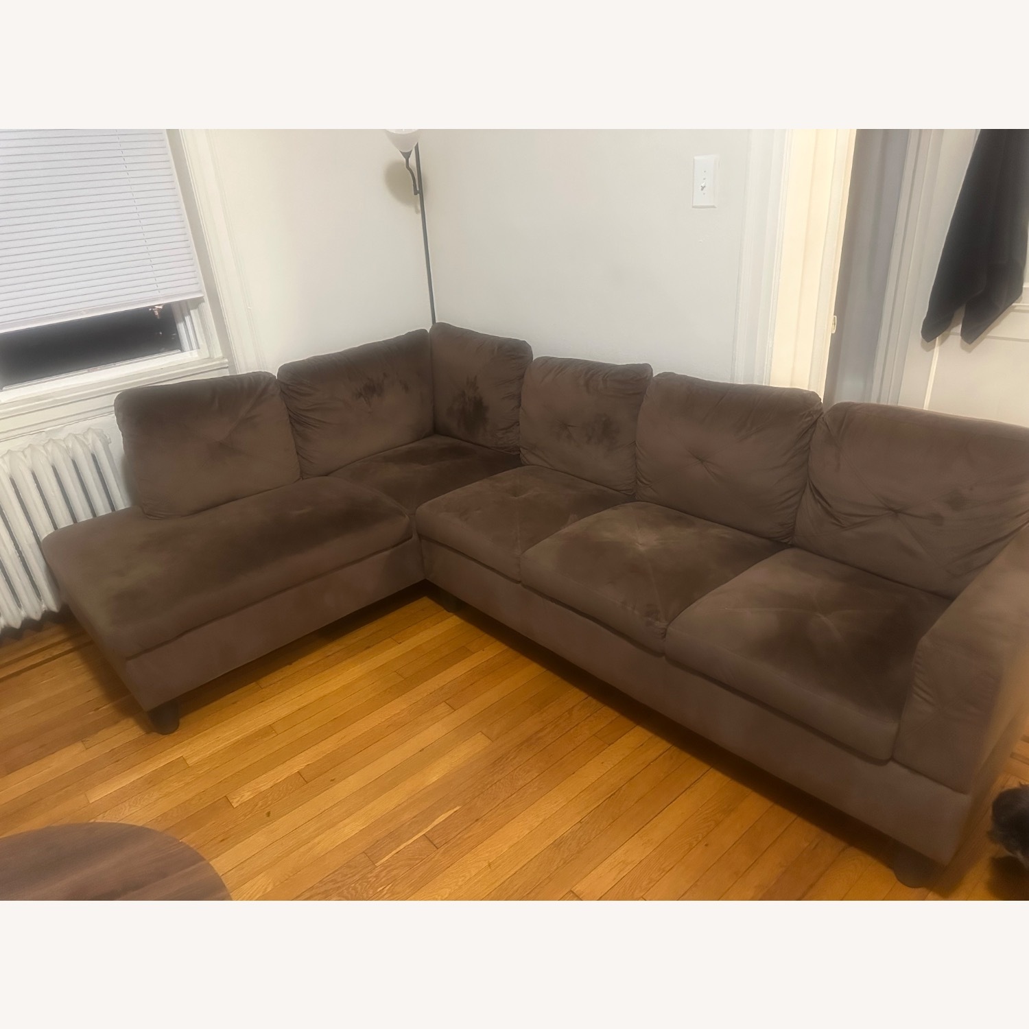 Chocolate Brown Couch - AptDeco