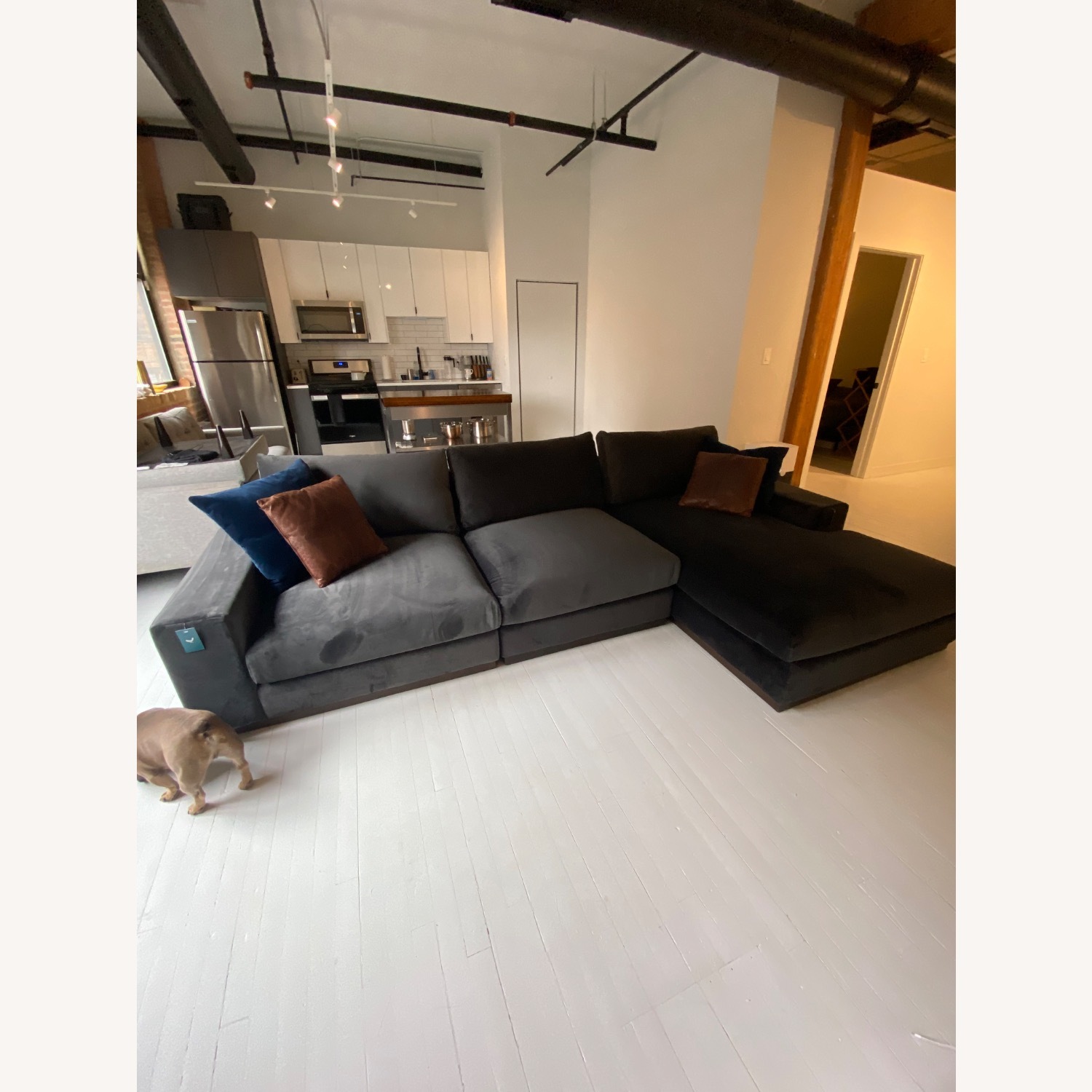 Joybird Holt Dark Gray Velvet 3+ Piece Sectional - image-11