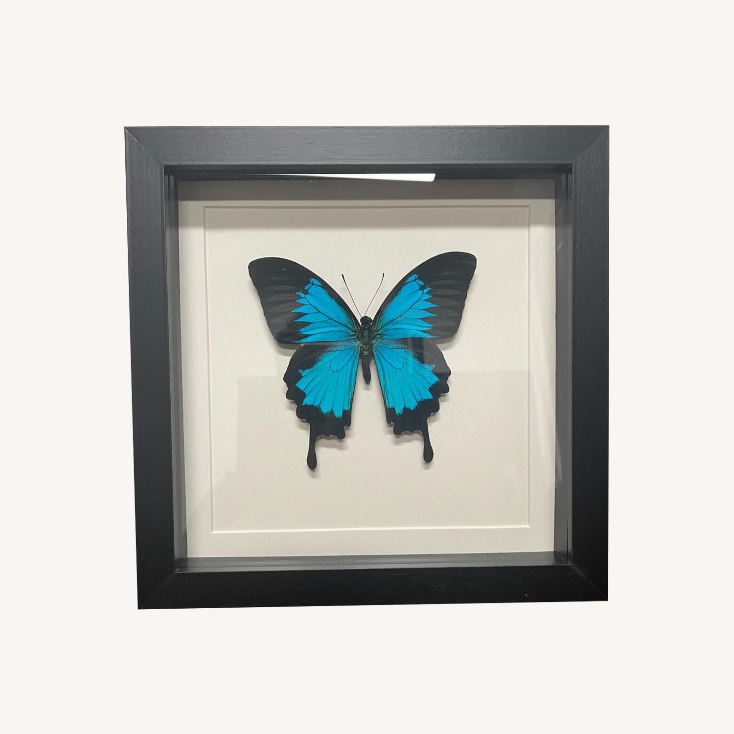 Vintage/Antique Picture Frame - image-0