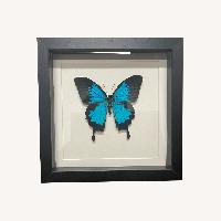 Vintage/Antique Picture Frame