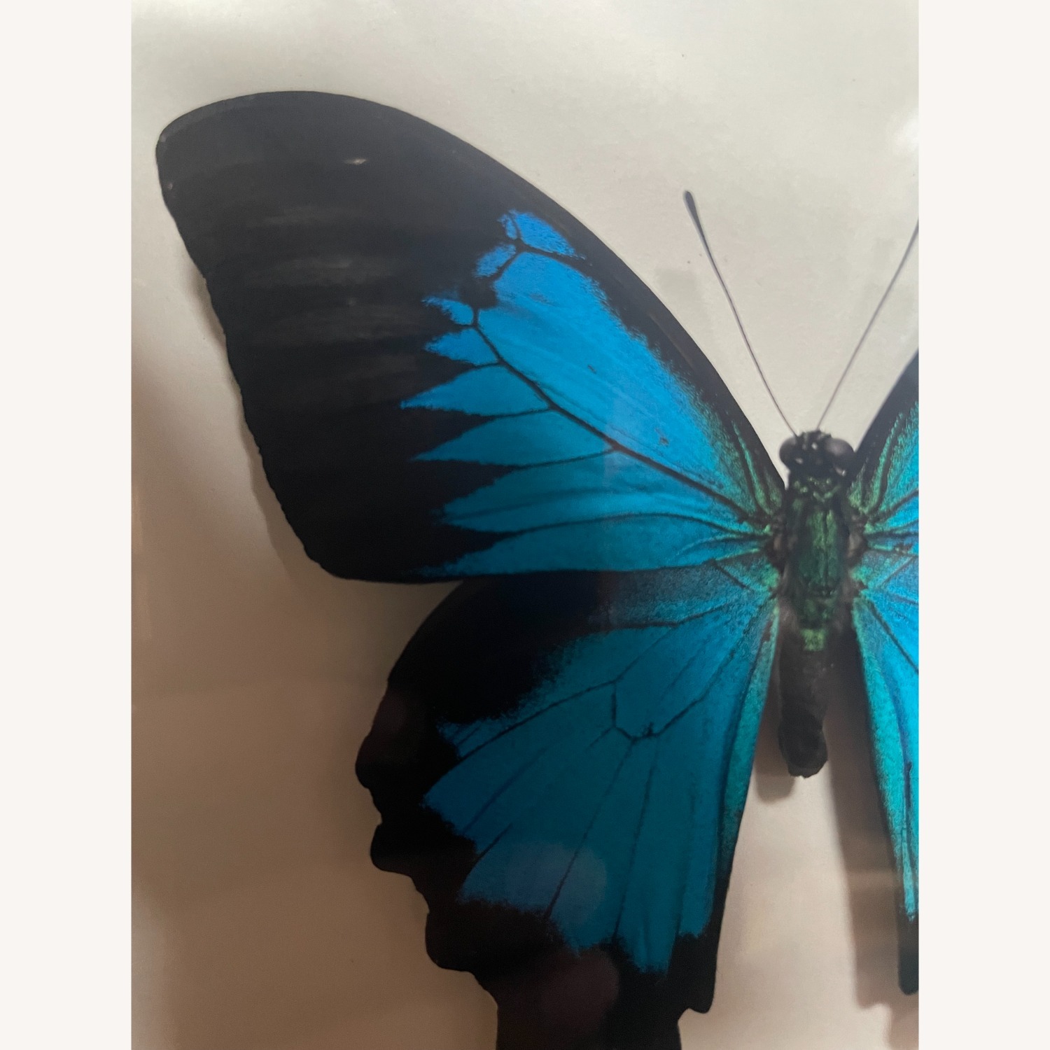 Vintage/Antique Picture Frame - image-3